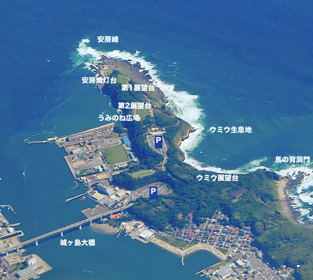 県立城ケ島公園