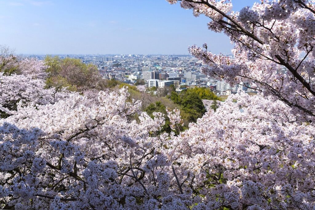 枡形山展望台