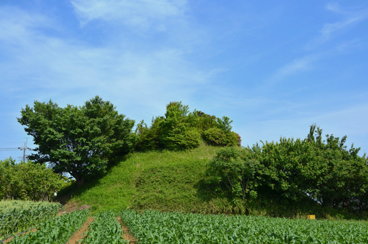 池辺富士