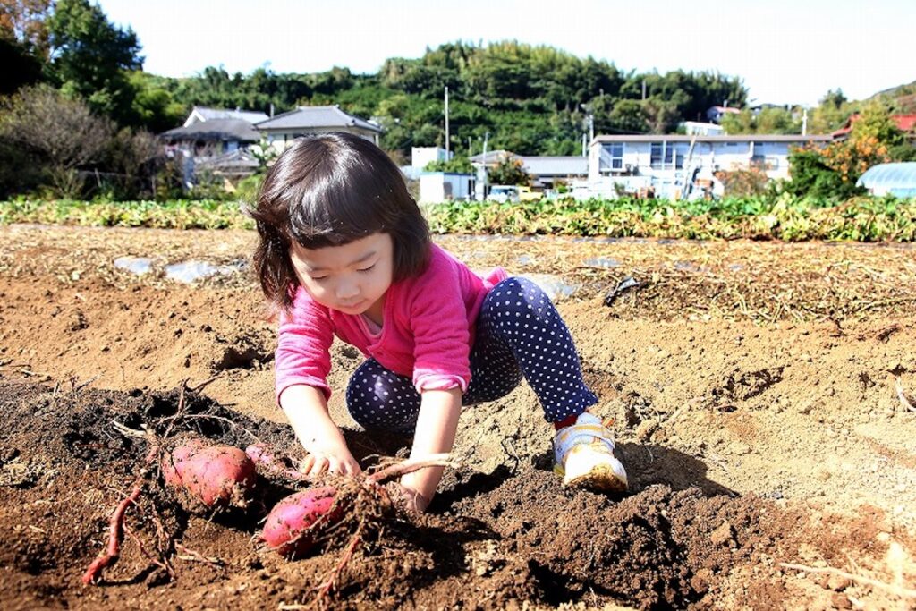 津久井浜観光農園