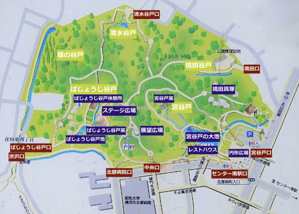 都筑中央公園