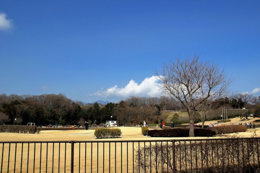 中井中央公園