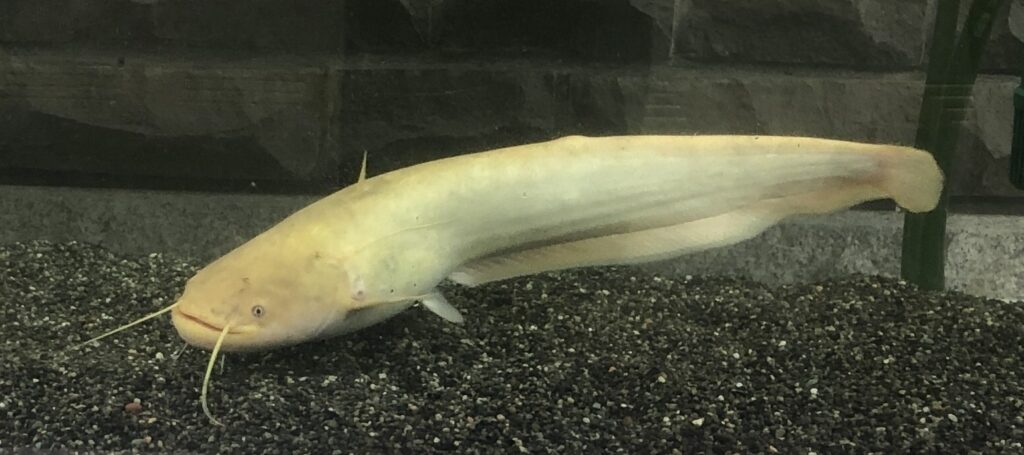 二ヶ領せせらぎ館