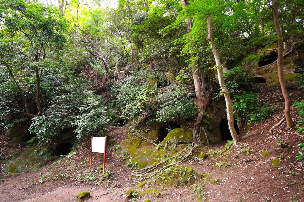 楊谷寺谷戸横穴群
