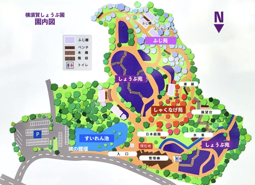 横須賀しょうぶ園