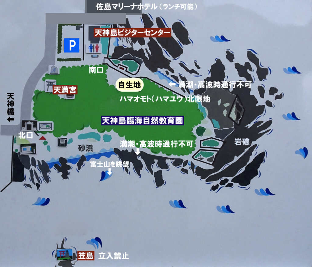 天神島臨海自然教育園