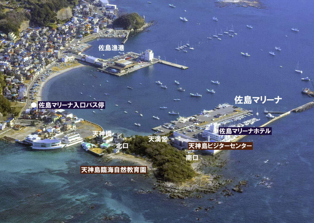 天神島臨海自然教育園