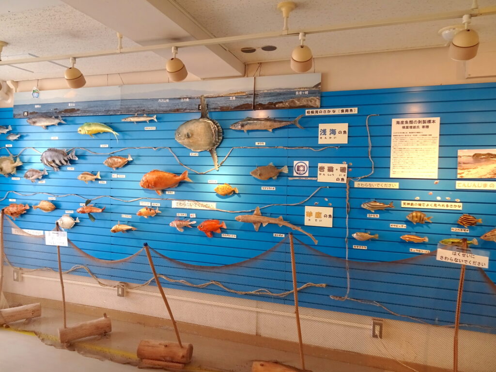 天神島ビジターセンター