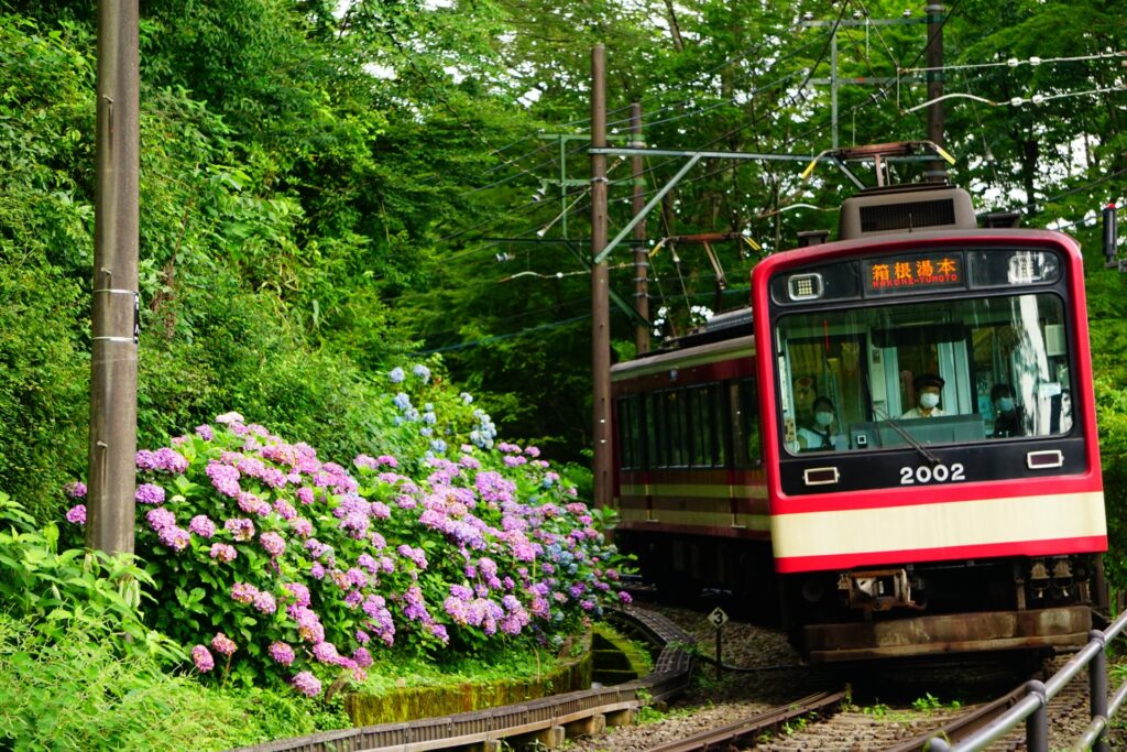 大平台駅（大平台のスイッチバック）
