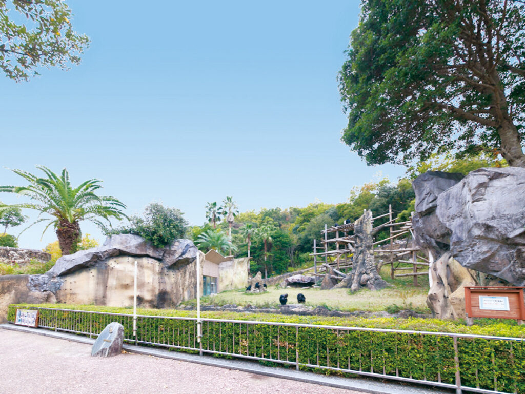 高知県立のいち動物公園