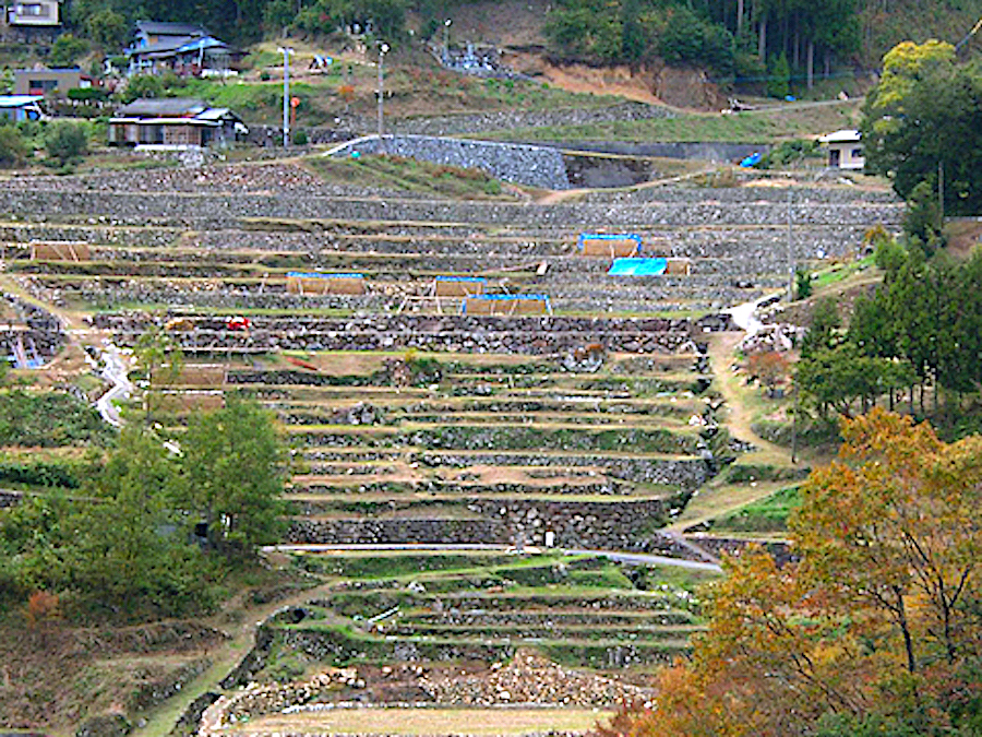 神在居の千枚田