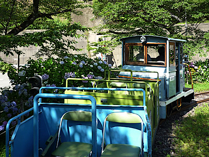 魚梁瀬丸山公園（森林鉄道）