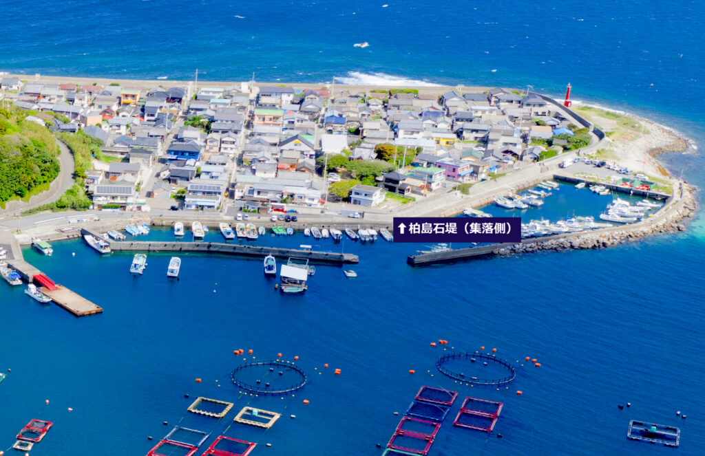 柏島石堤