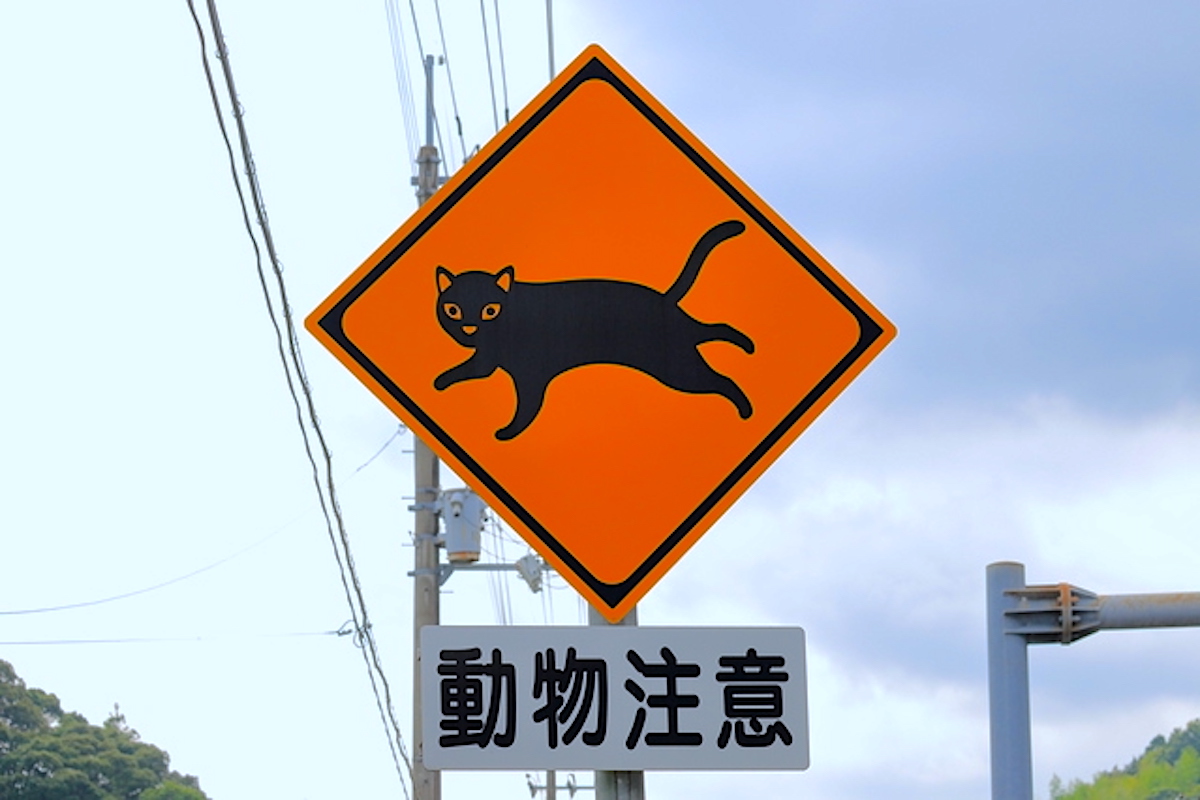猫注意の道路標識