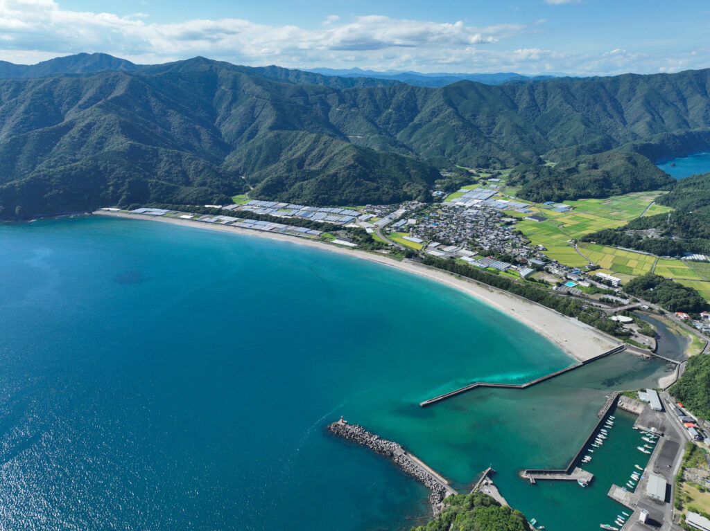 小室の浜（興津海水浴場）