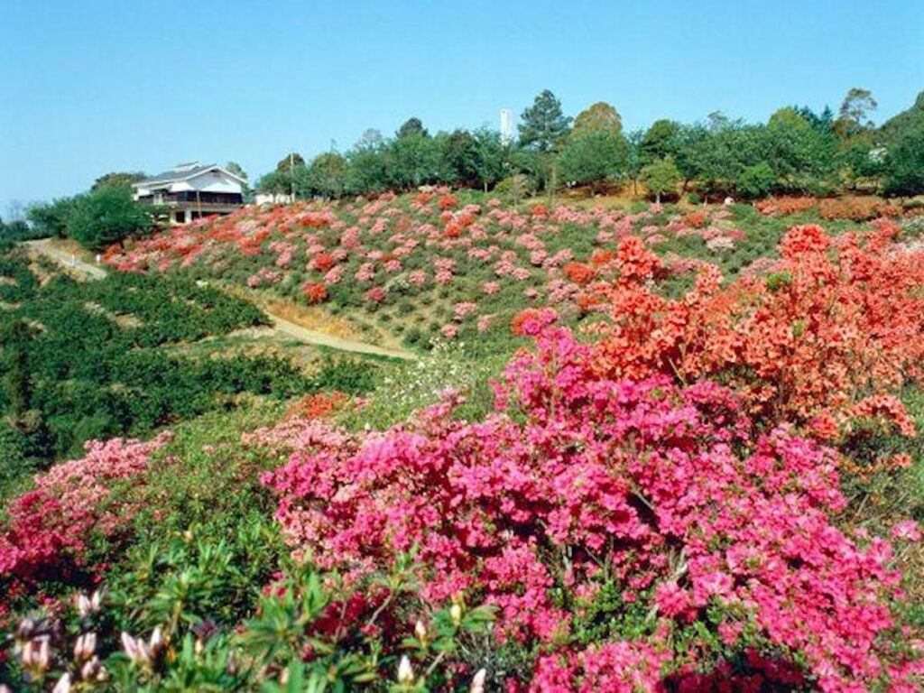 田原坂公園