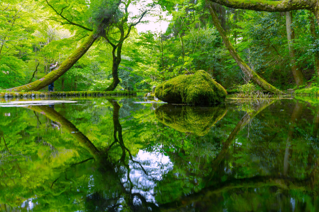 山吹水源