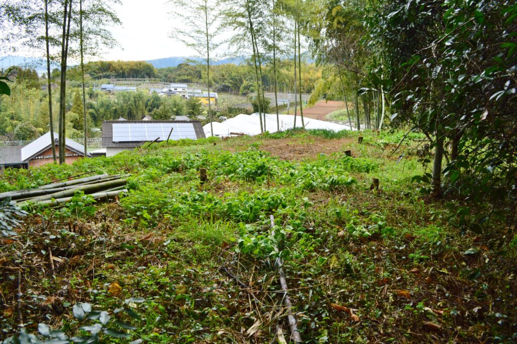 大野窟古墳