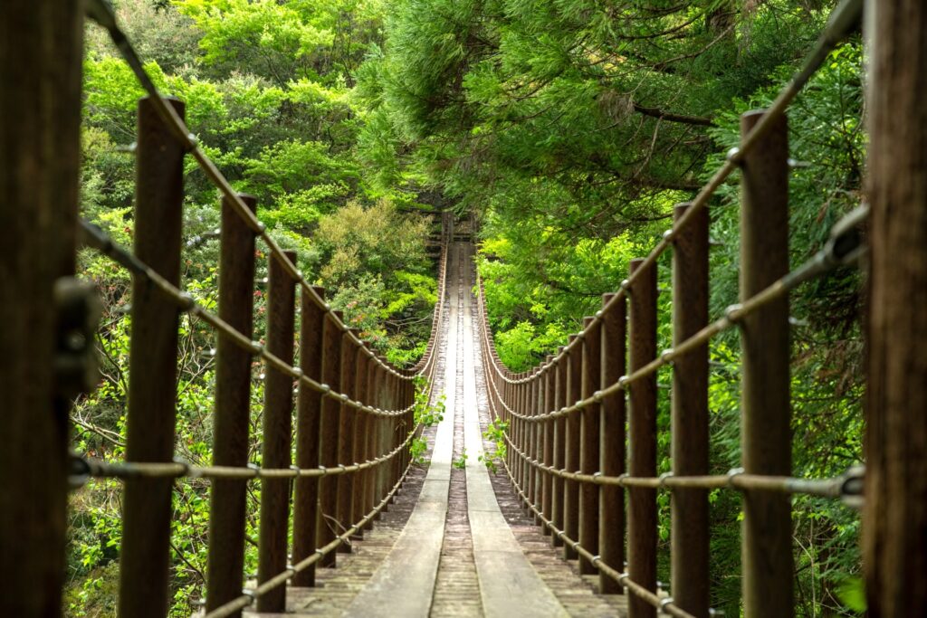 樅木の吊橋