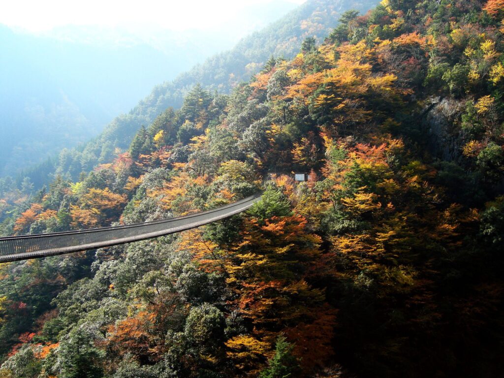 梅の木轟公園吊橋