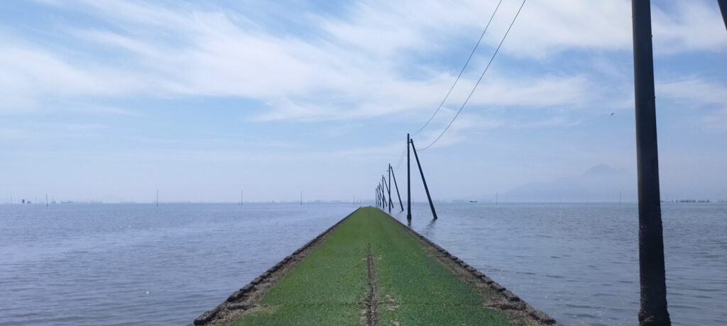 岱明海床路（海中道路）