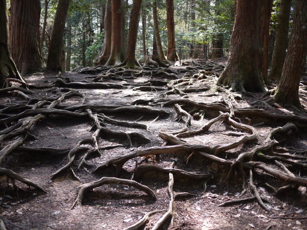 大杉権現社・大杉苑瞑想道場