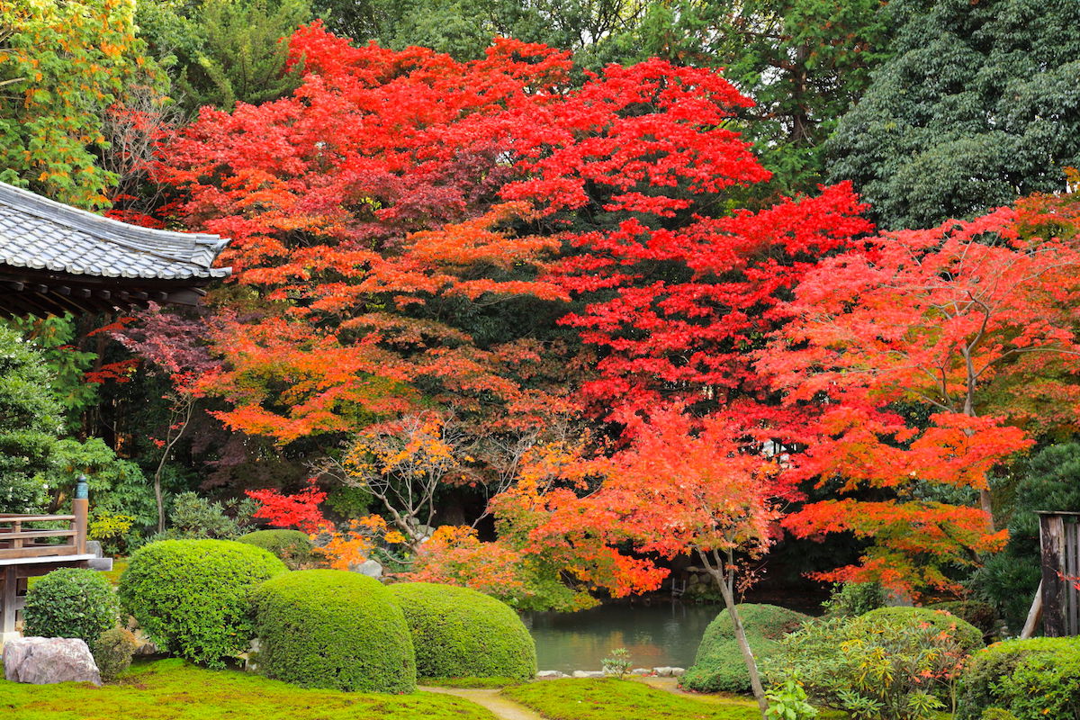 随心院