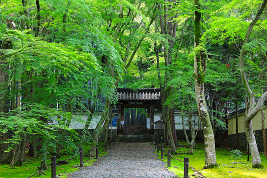 竹の寺 地蔵院