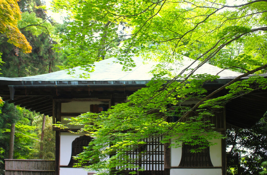 金蔵寺