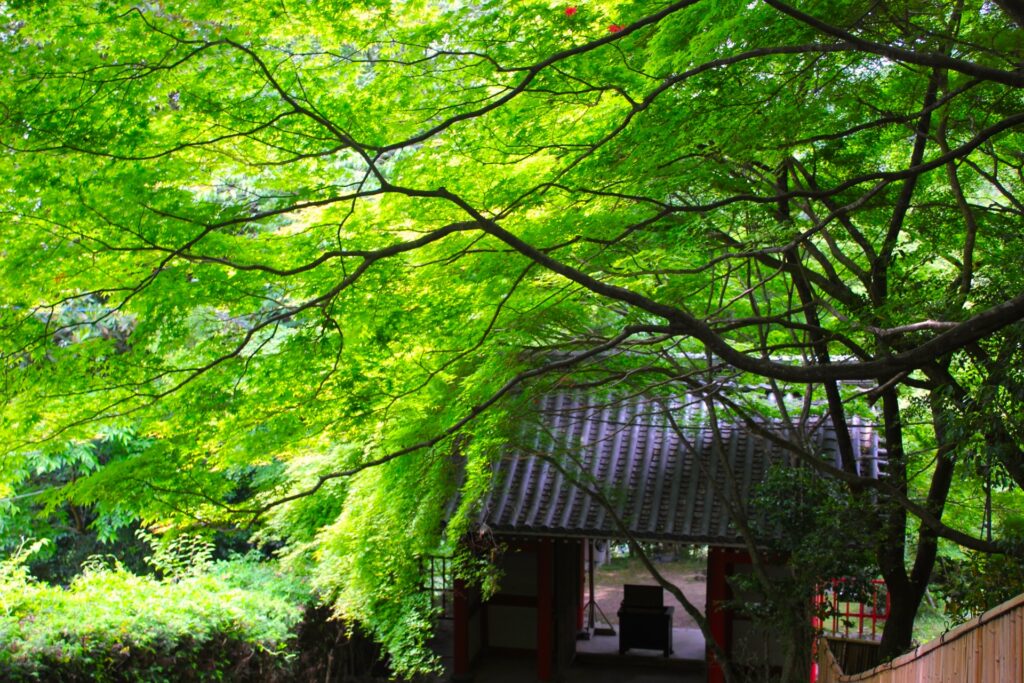 金蔵寺