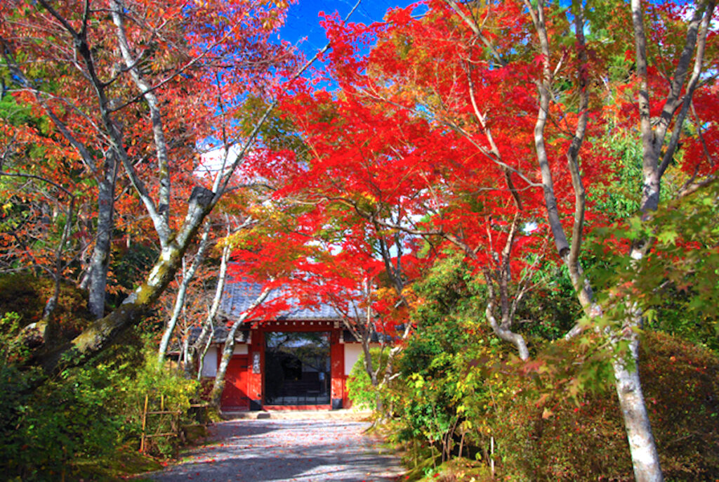 常照寺