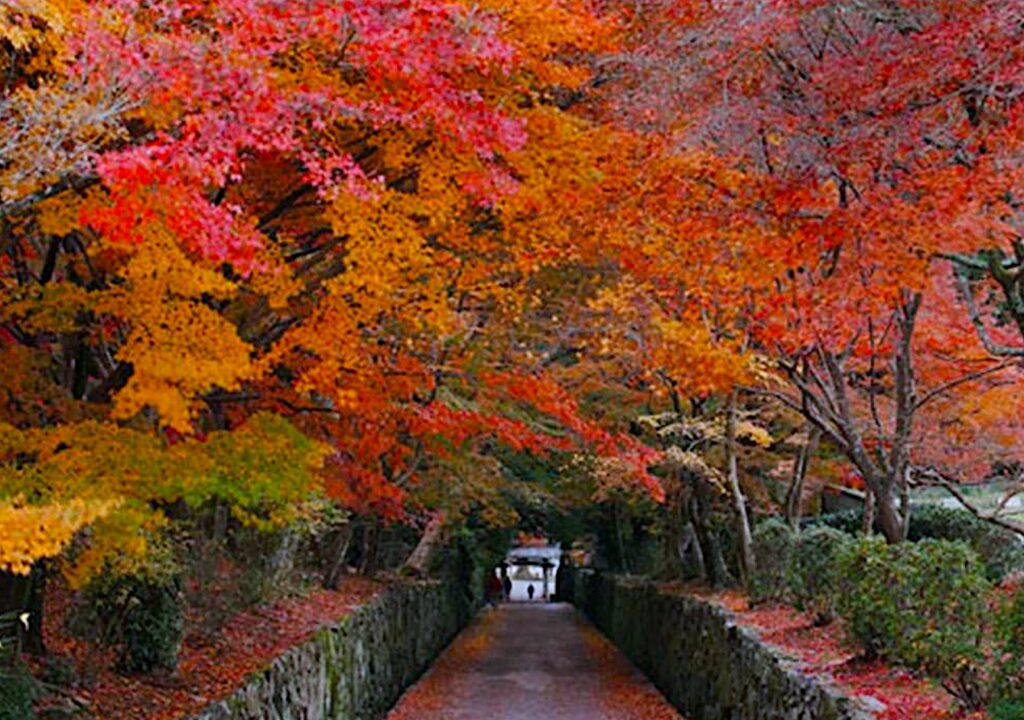 興聖寺
