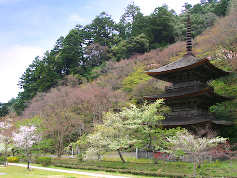 金剛院