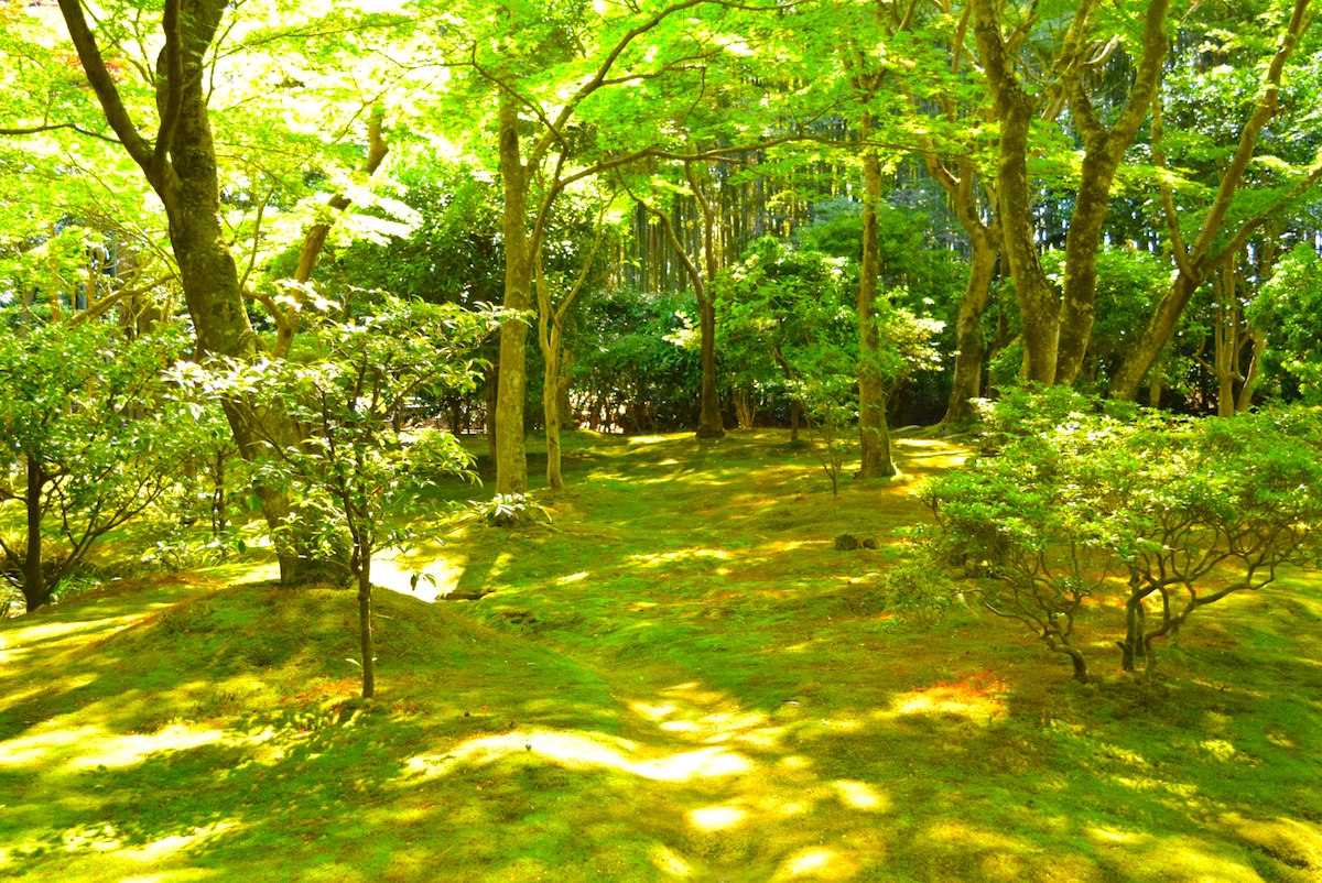 慈照寺（銀閣寺）