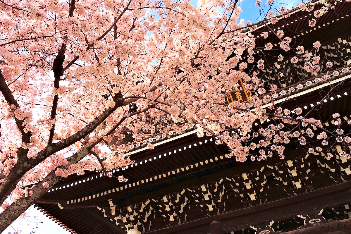金戒光明寺