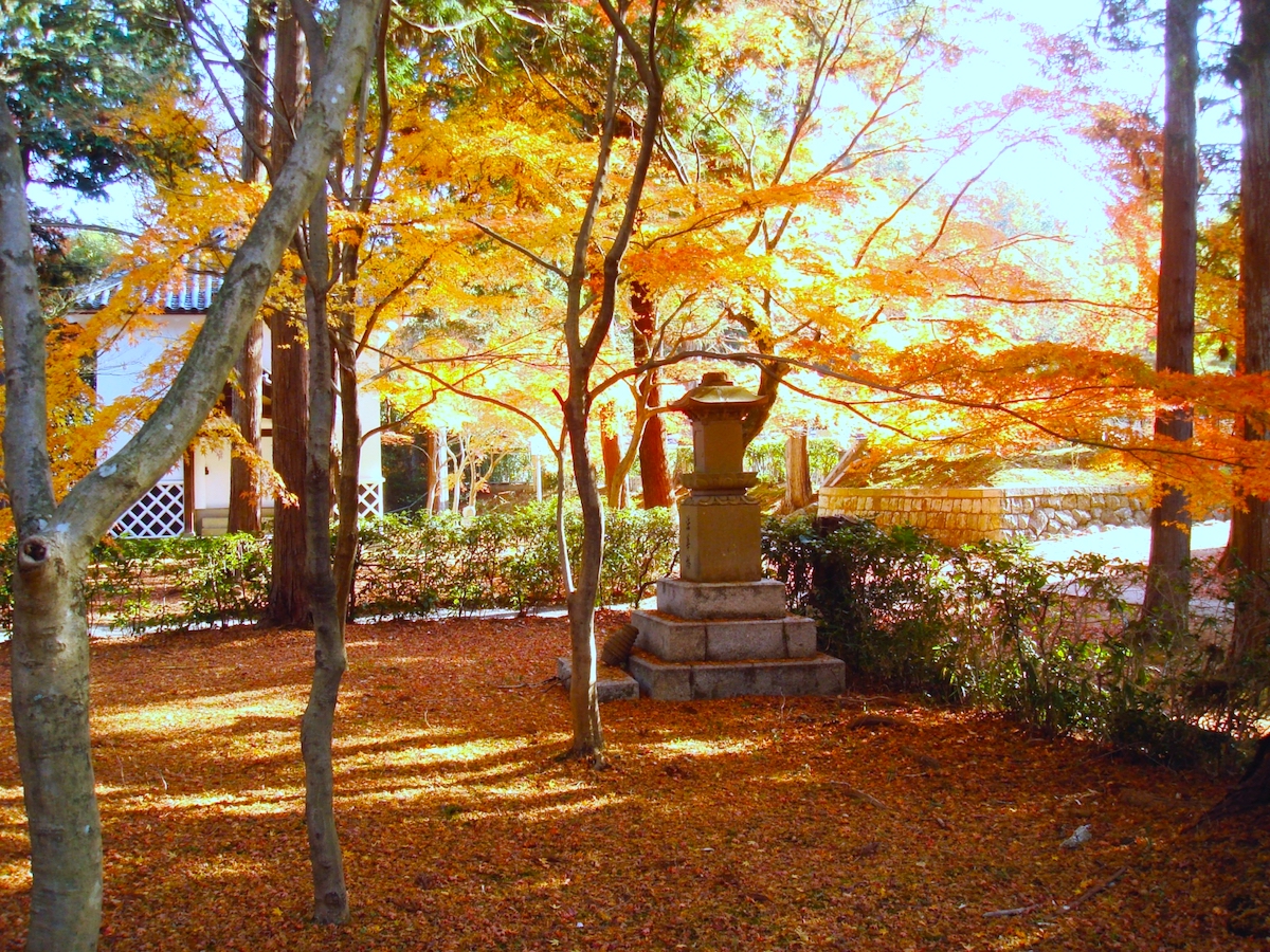 金戒光明寺