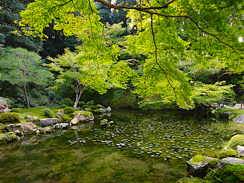 南禅院