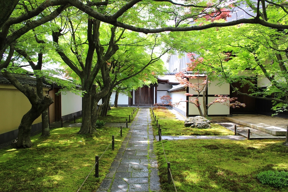 大徳寺・黄梅院