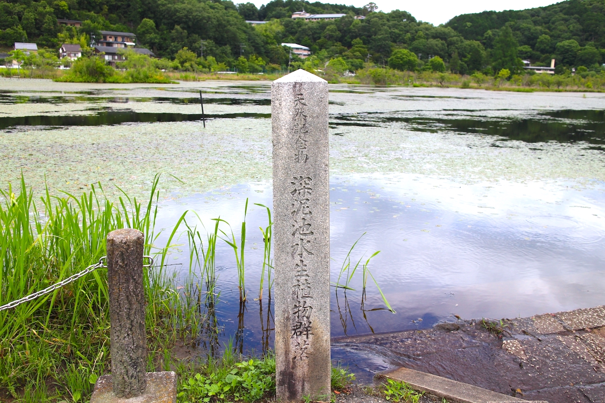 深泥池