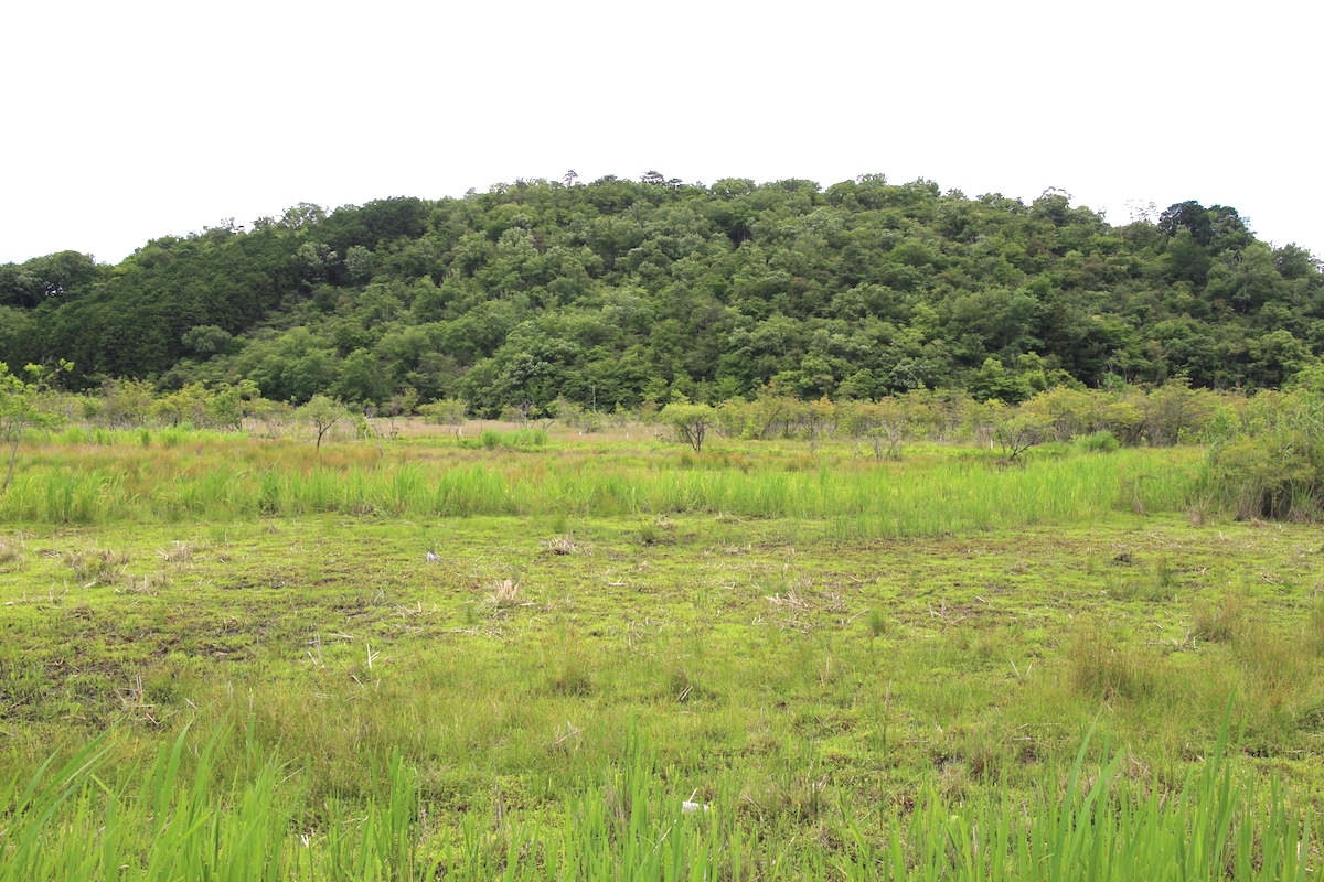 深泥池