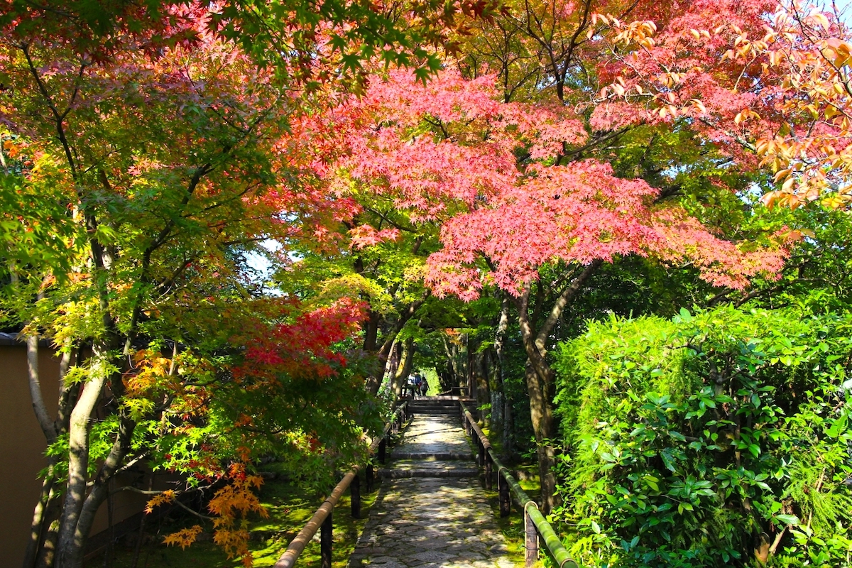 光悦寺