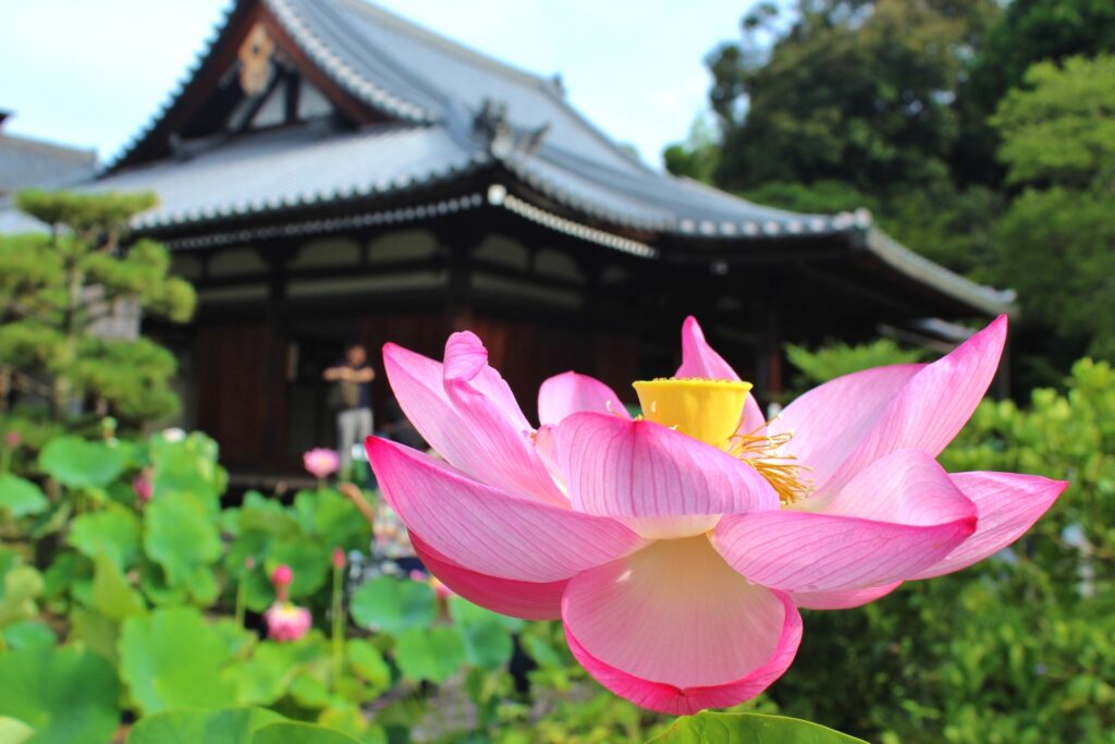 法金剛院
