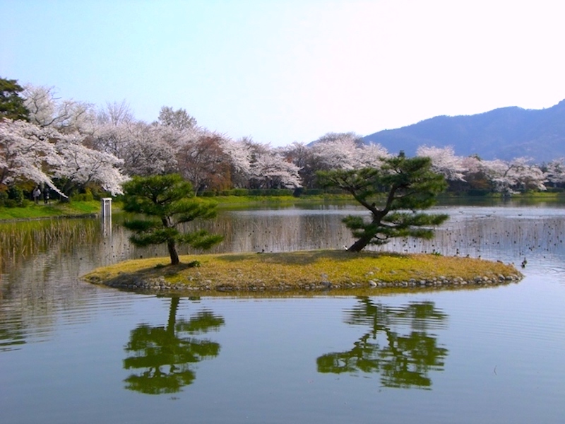 大沢池