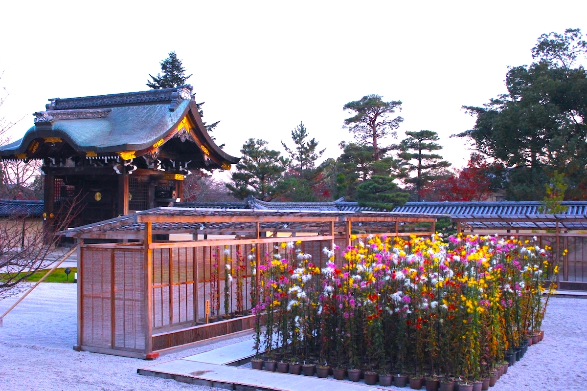 大覚寺