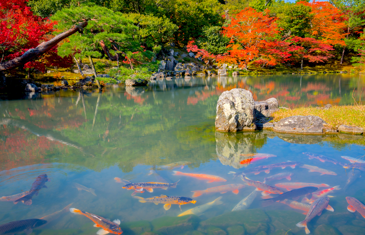天龍寺・方丈庭園
