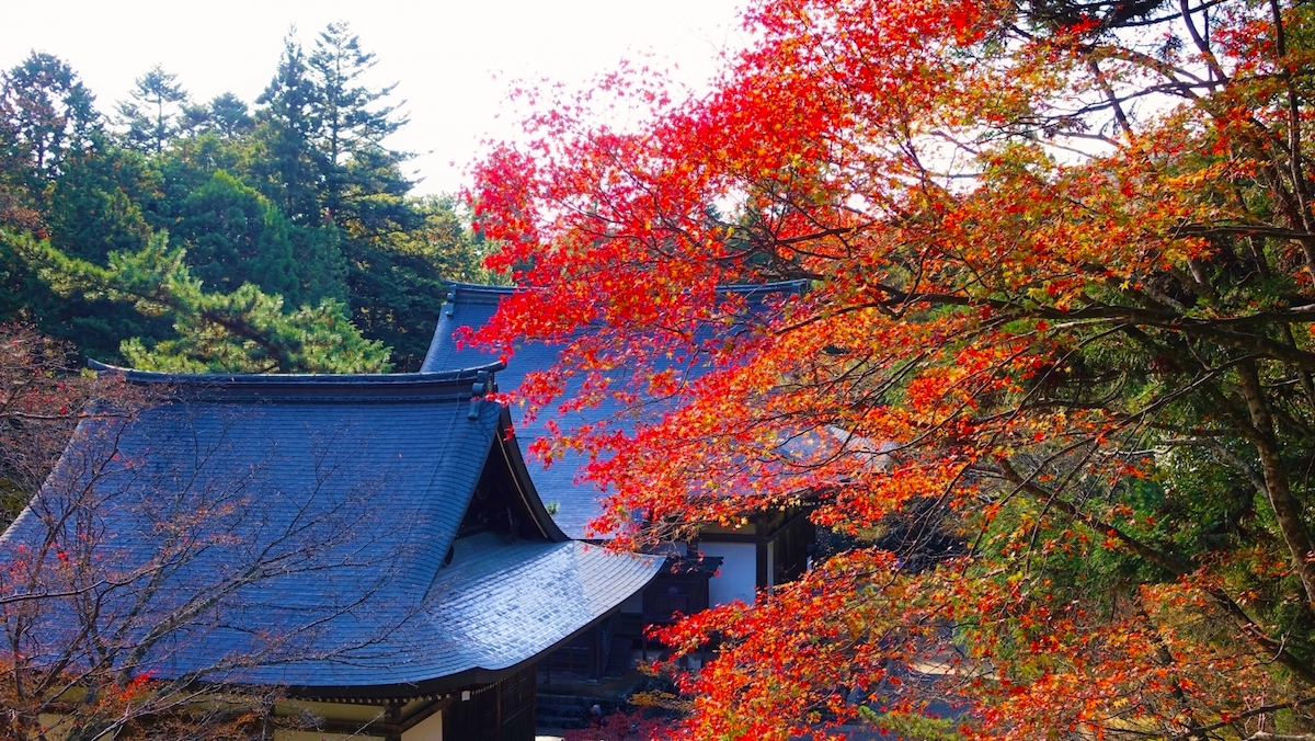 神護寺