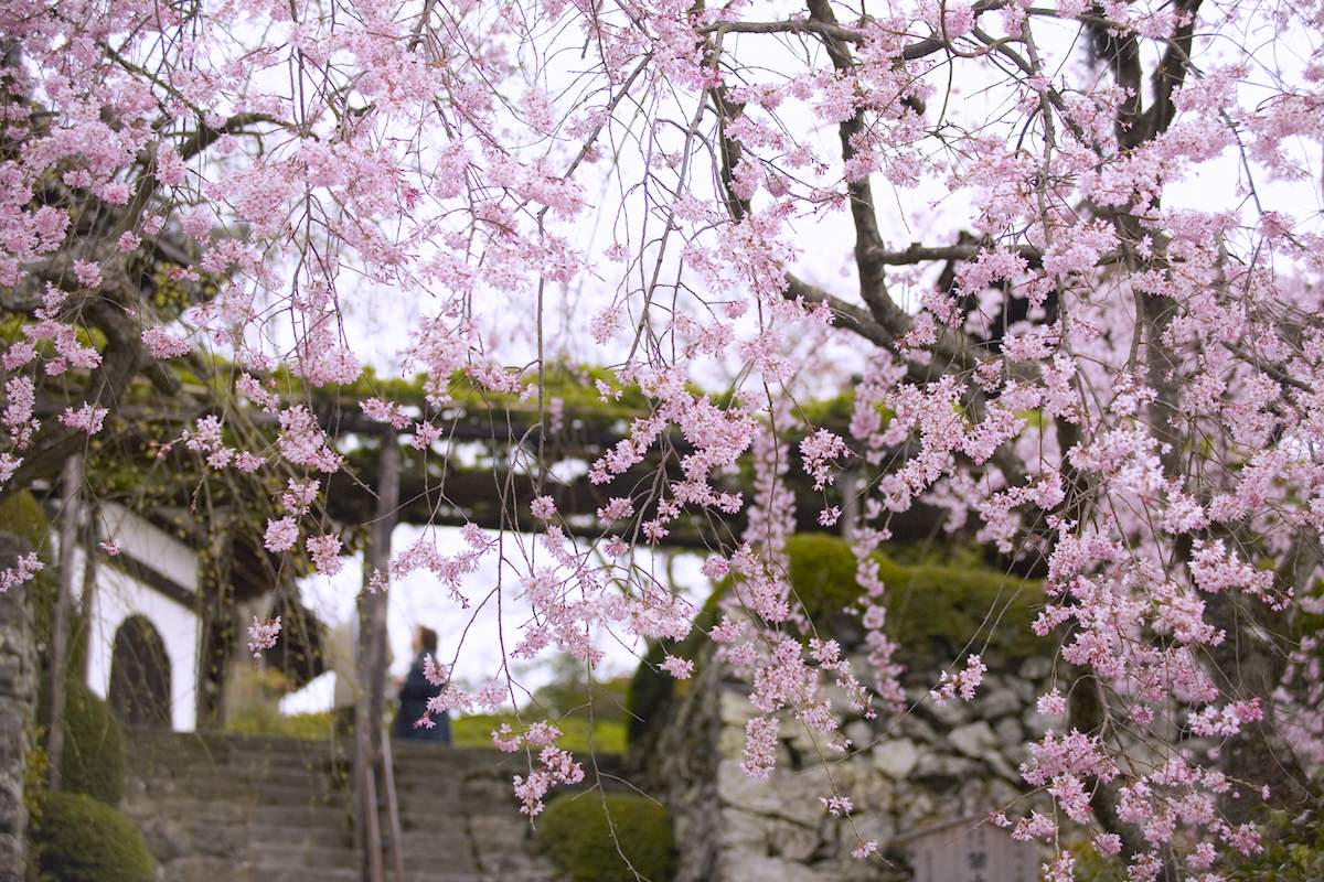 善峯寺