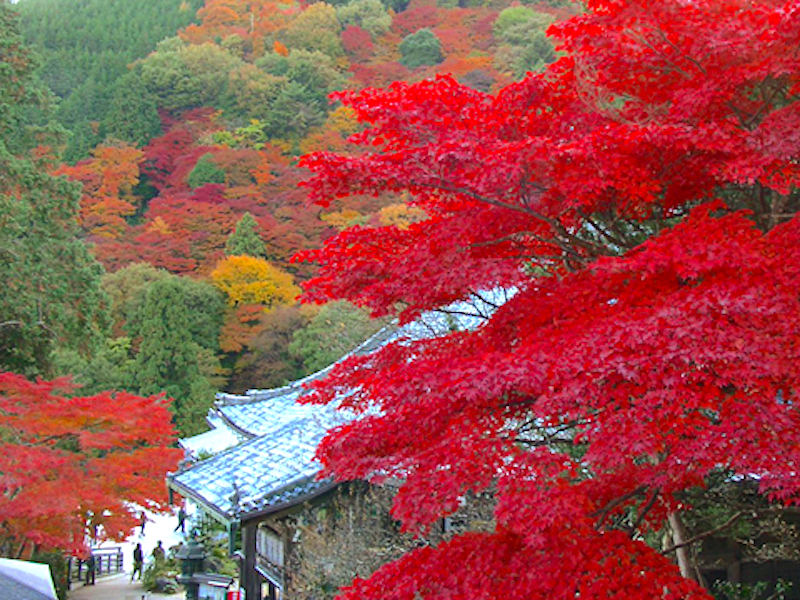 善峯寺