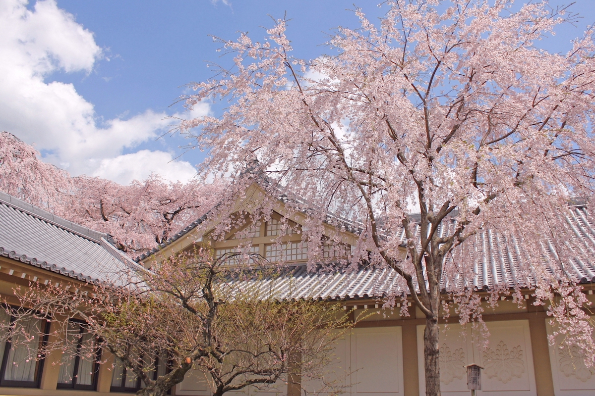 醍醐寺三宝院