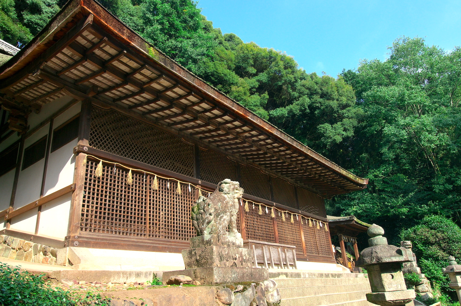 宇治上神社・本殿